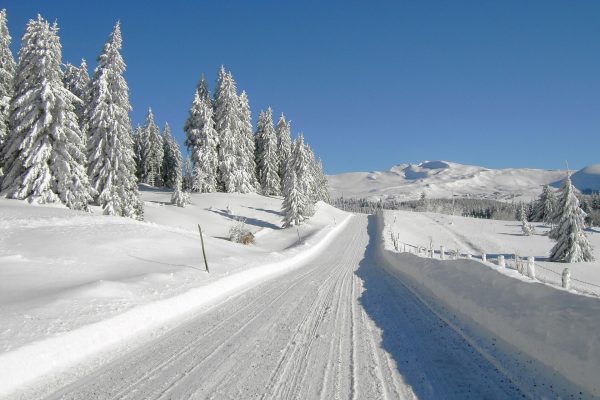 In winter, check road conditions before travelling