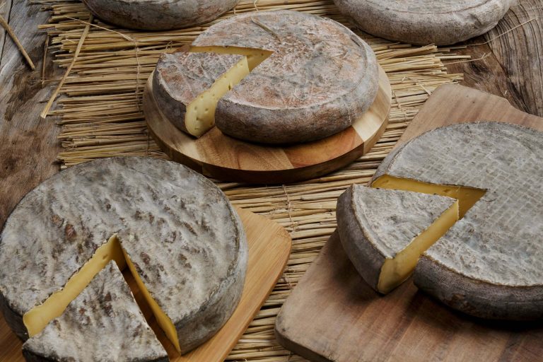Saint-Nectaire cheese with a nutty flavour